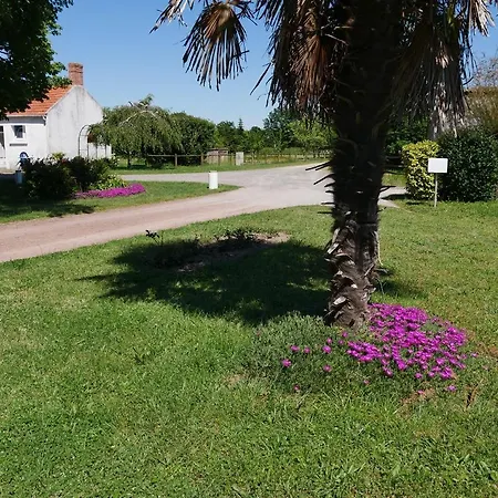 別荘 Maison De Avec Et Sauna A Commequiers, 12 A 14 Personnes Commequiers