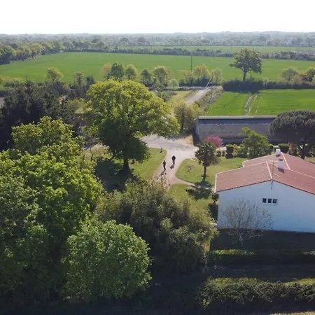 Maison De Avec Et Sauna A Commequiers, 12 A 14 Personnes *